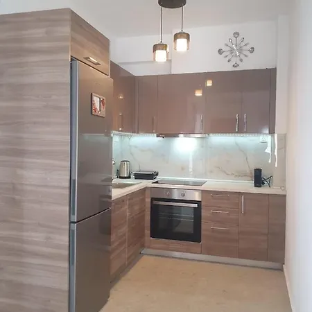 Apartment Sveto's House *